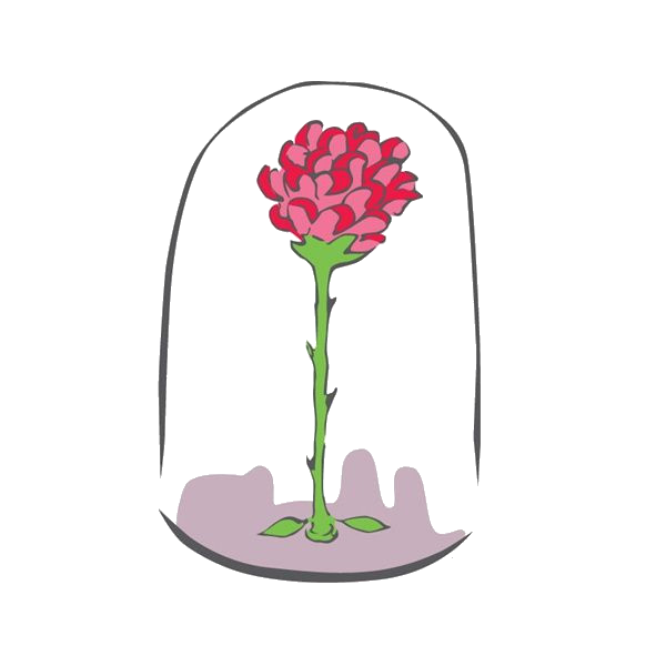  La rose, Le Petit Prince d'Antoine de Saint-Exupéry